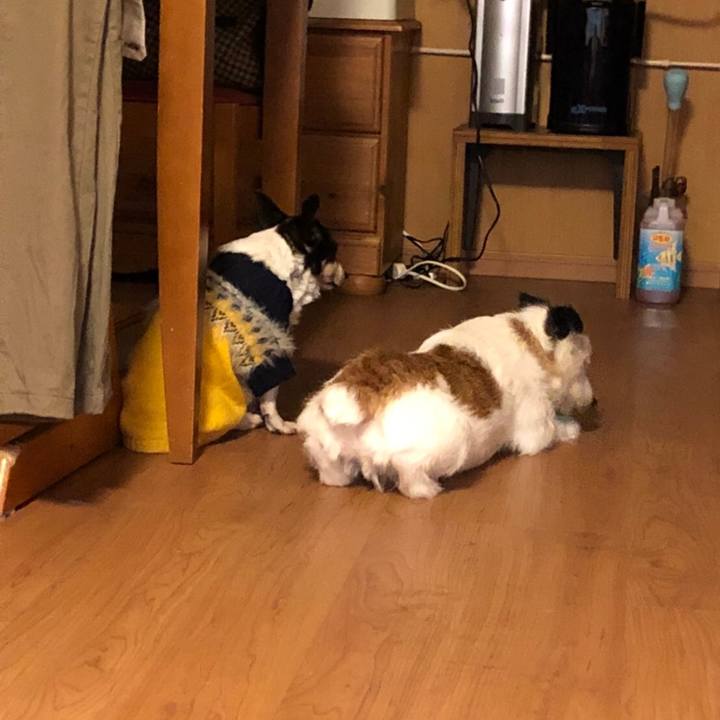 8f9f654f 408f 481d 91af 03a801872375 1587459260551