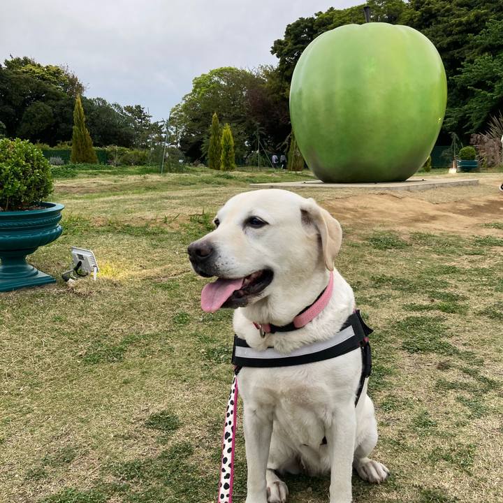 8f9f6dfb 7548 4527 9183 17e87d93de94 1745185065924