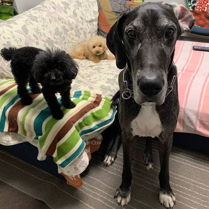 8f9f996d 7f5c 4498 8533 f6e1770b9efe 1595975898785