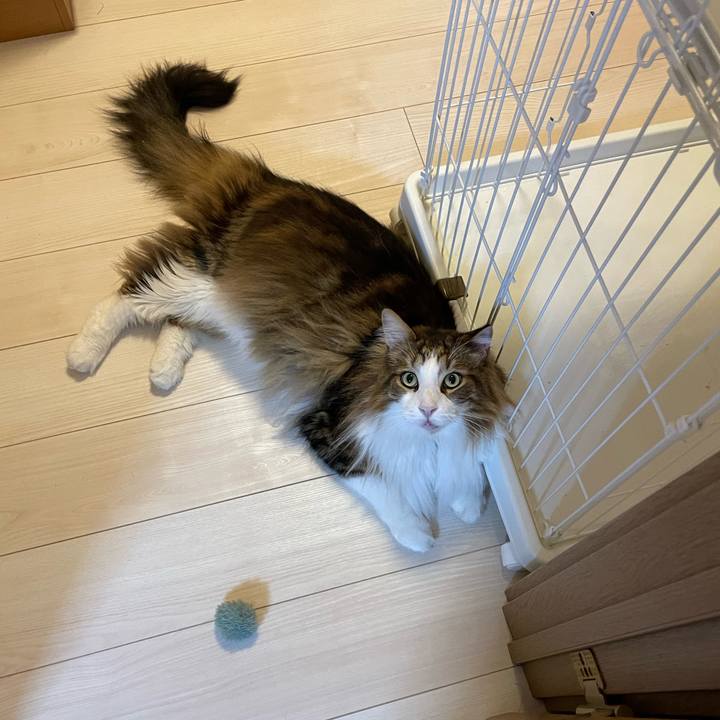 8f9f9b7e 72d6 4a6d 9e8a 3d603c970429 1718135089015