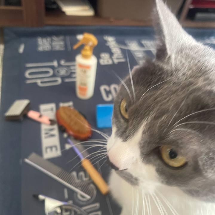 8f9fd128 91f5 4de7 97df a08beadcd017 1706409088833