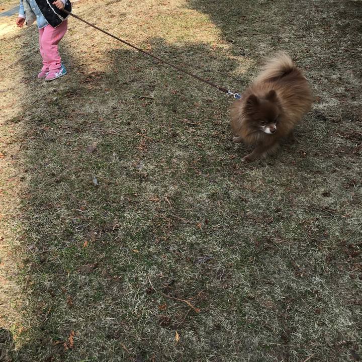 8f9fe088 a29a 4d65 92f6 1cfc742c1df5 1522152728963