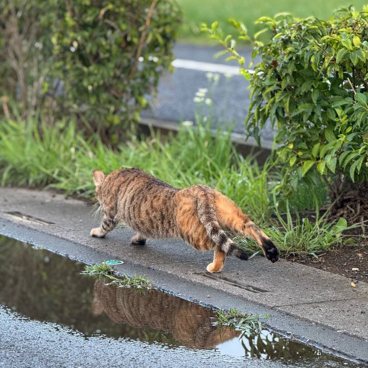 8f9fe472 5b8e 414f 9460 f5980f175630 1758416268276