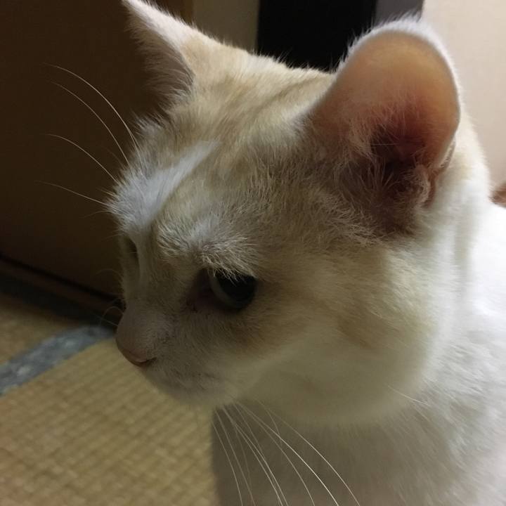 8f9ff7d2 9143 4ac5 b574 eab6824e6a31 1529151506250