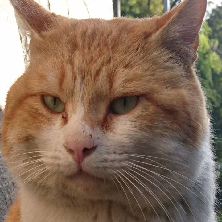 8fa05a92 96a3 494e 9bad 5f01bb7c9748 1531827927473