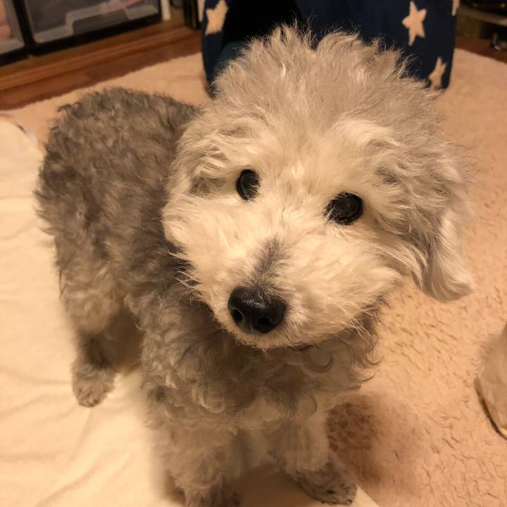 8fa06b35 8a07 40c9 a078 a6e1a91524c2 1608974292603