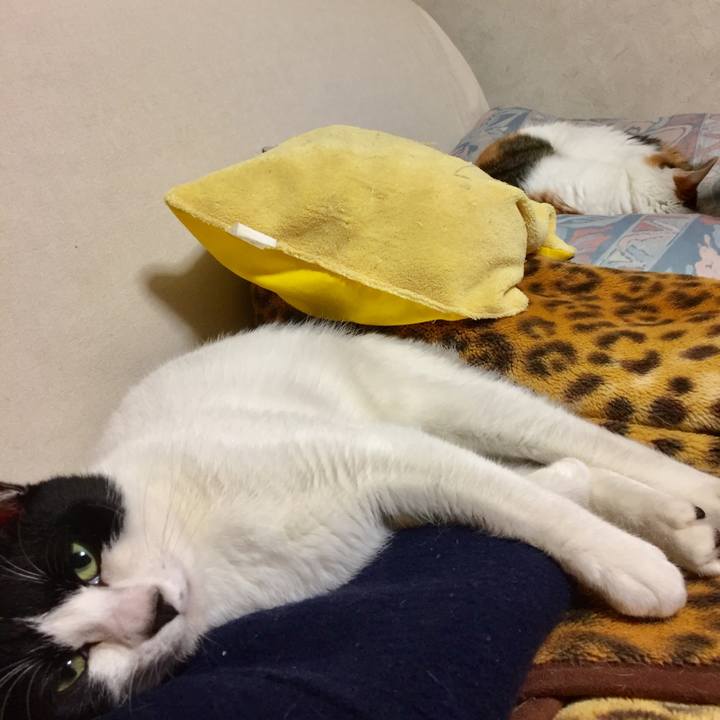 8fa06bc4 de54 4c82 b888 6506507aeac7 1580972938911