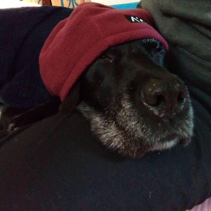 8fa0a8b5 60fa 4f82 9bdc 475b84865267 1701904001720