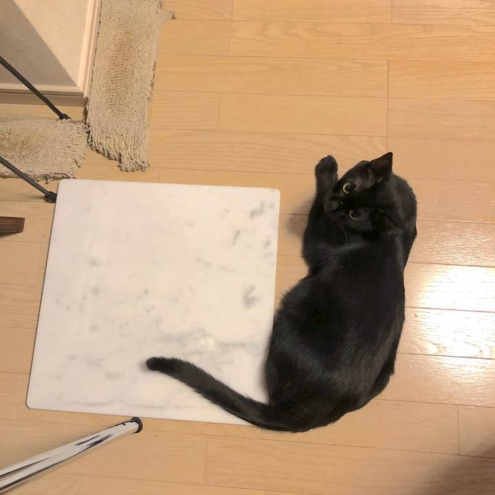 8fa0dca9 e452 4fa6 85a3 f6f969985f3c 1565610530565