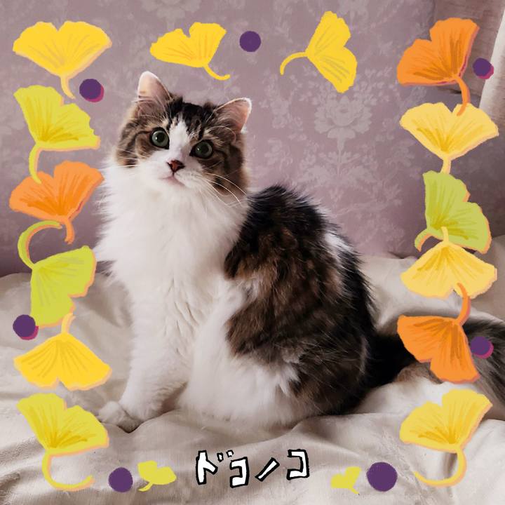 8fa11414 ecfc 4e03 af00 9039dcfce5d8 1729720037809