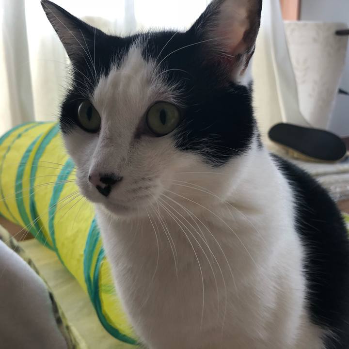 8fa1192f 74c9 43bc b8a9 e197c8c9dc7f 1547340777327