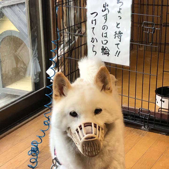 8fa14945 8ec6 4636 aef4 1f9a97dd27d1 1554594079018