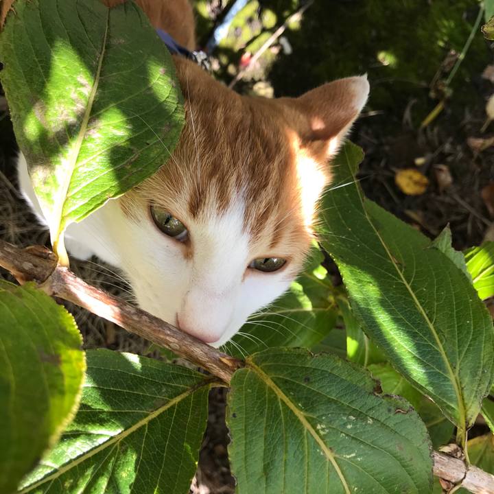 8fa14d0f 67fc 4a6c 967f 853a514f4c45 1510195417325