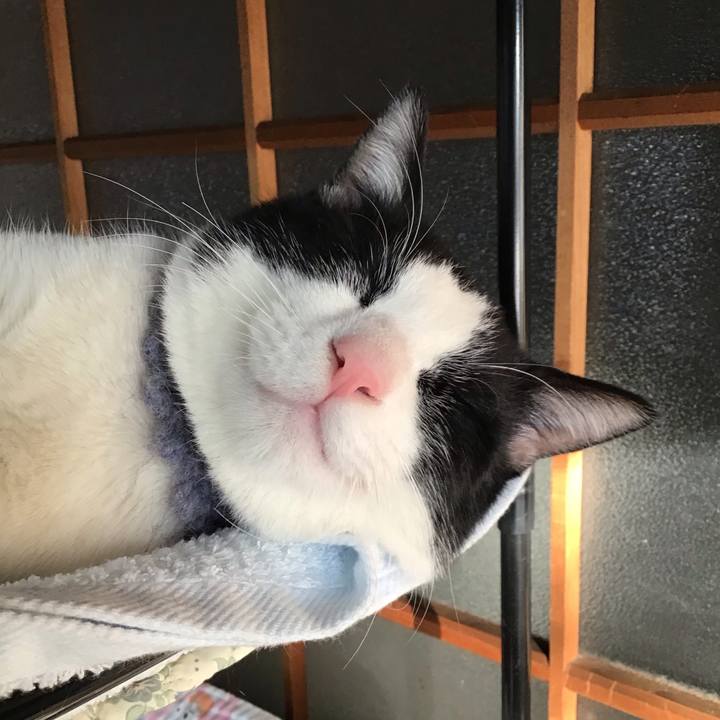 8fa15483 f7c6 43ce aaa3 1078768ec6d7 1643325587191