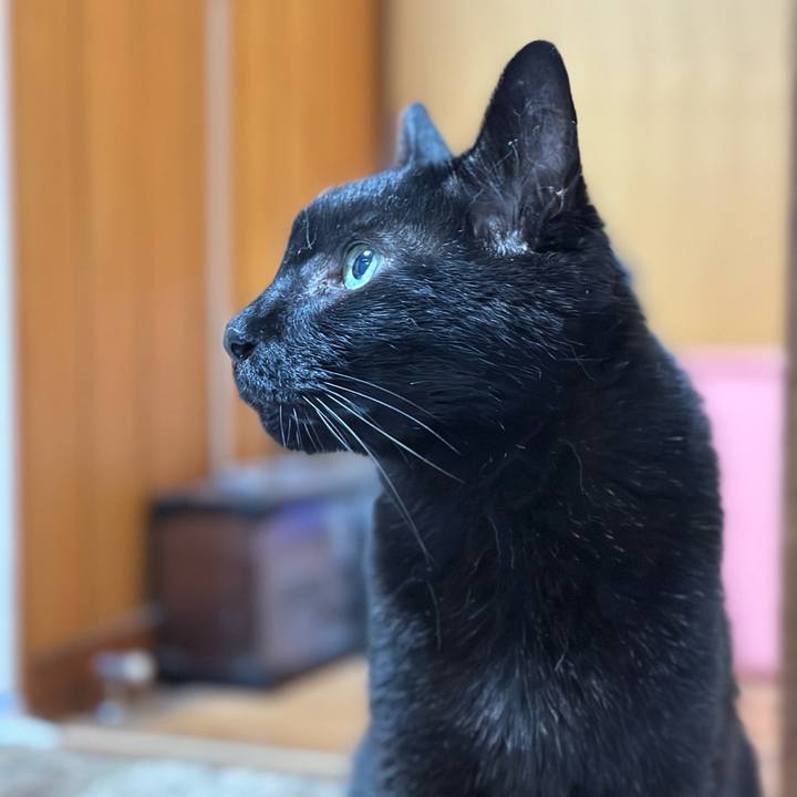 8fa15bb3 c573 4729 a0e8 9246d95f369d 1689295748390