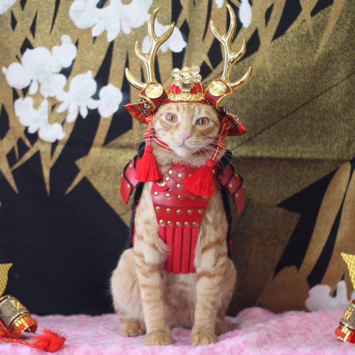 8fa189ea e02e 479a be04 f0108253b4f1 1683157726892