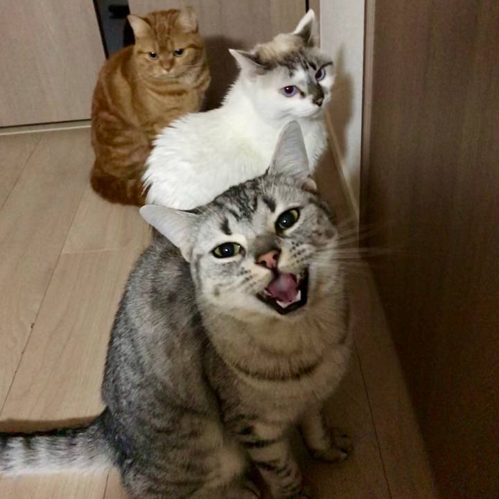 8fa202e1 9610 49c4 a5f1 b337cec2e4ac 1513436187722