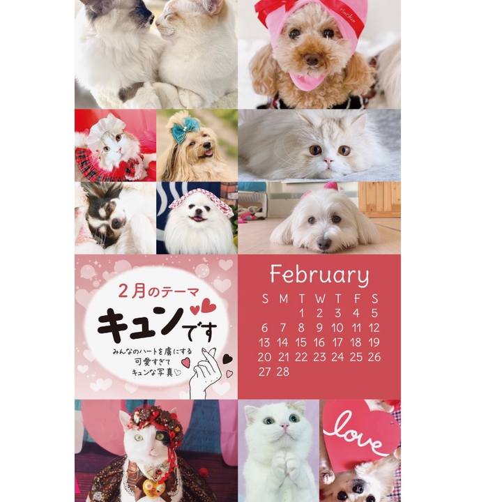 8fa21558 d6c7 4e5b 8de3 e0401bd2bbda 1641252328624