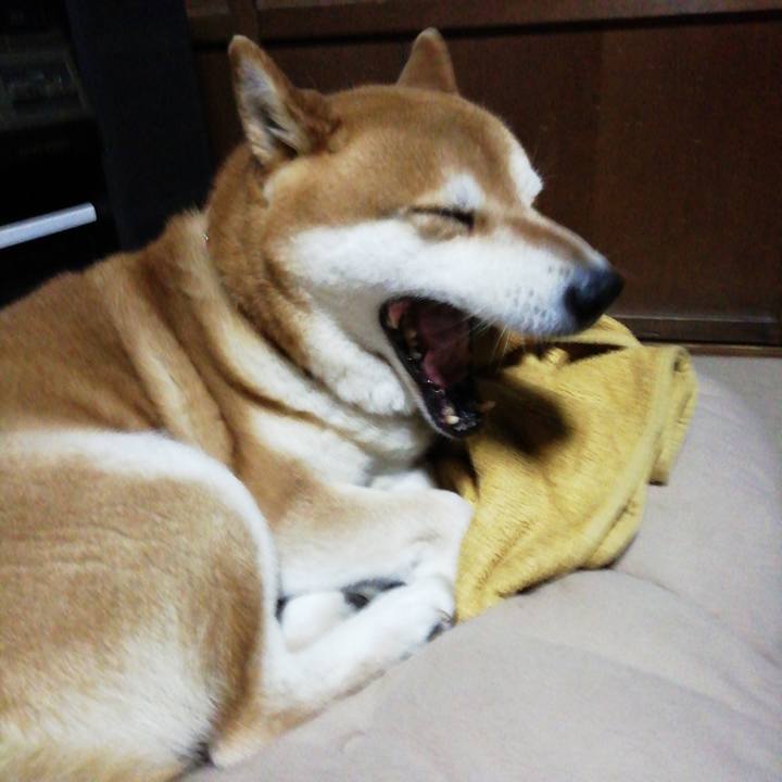 8fa2c1aa fe91 4a62 94c9 2153a88151d4 1618284573328