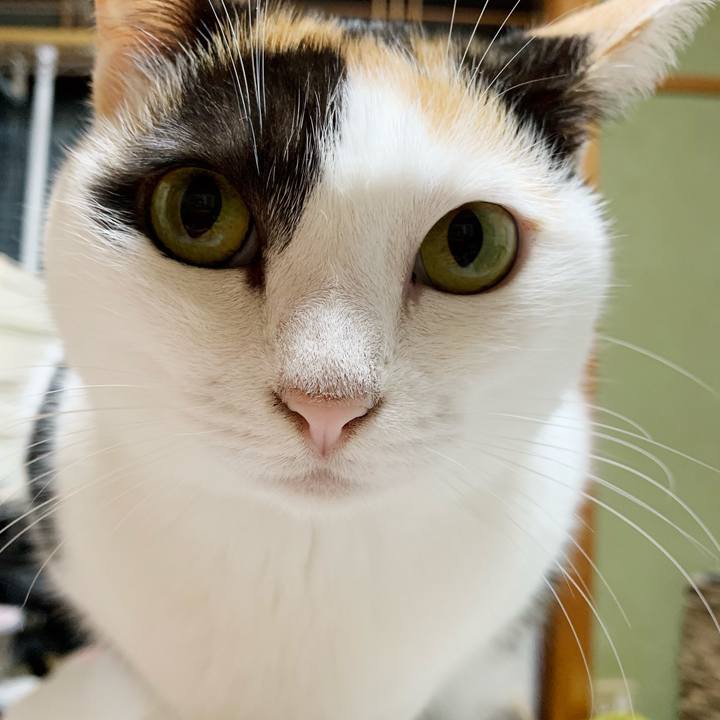 8fa2fd9c d3ef 4a14 9b3d 85f3d184ed62 1541213655508