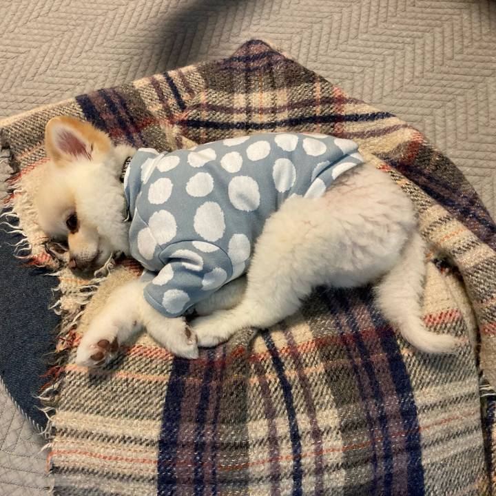 8fa338ed 8170 43dc 90f6 7396f4283e1f 1640772711187