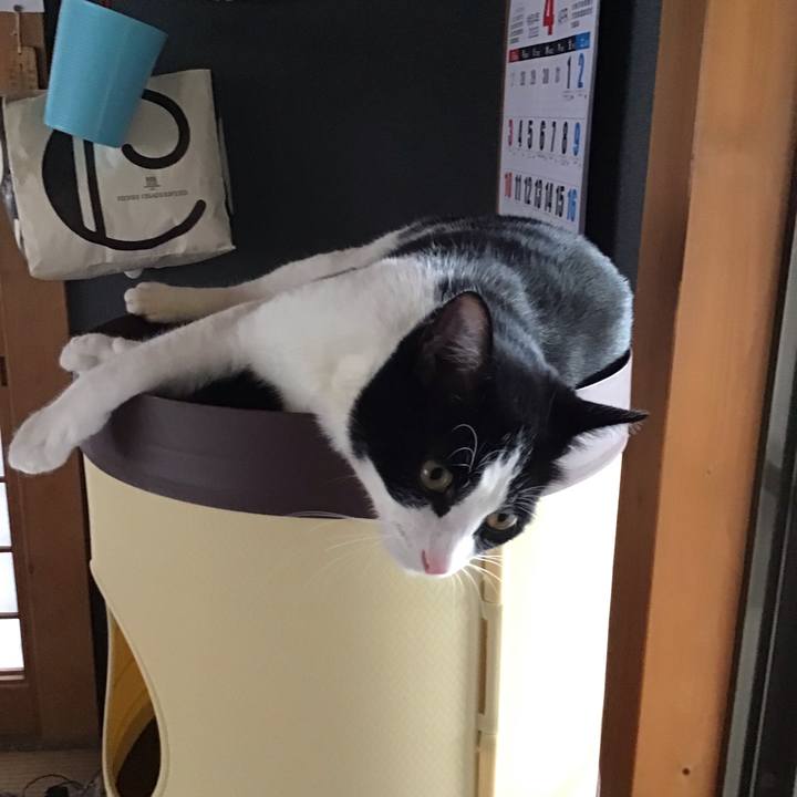 8fa33923 042b 4233 9ea4 565bb76661eb 1651041144334