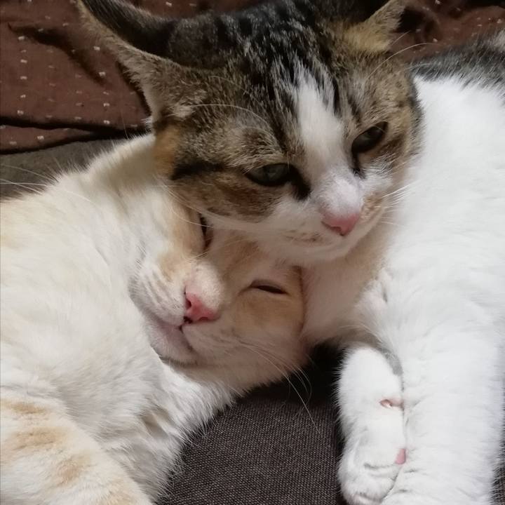 8fa3480d 7953 4a89 9235 a409311af869 1606343941435