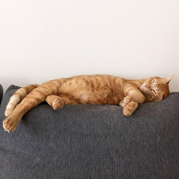 8fa3a766 ad60 43b4 8ce5 05cbf42413b2 1660279957206