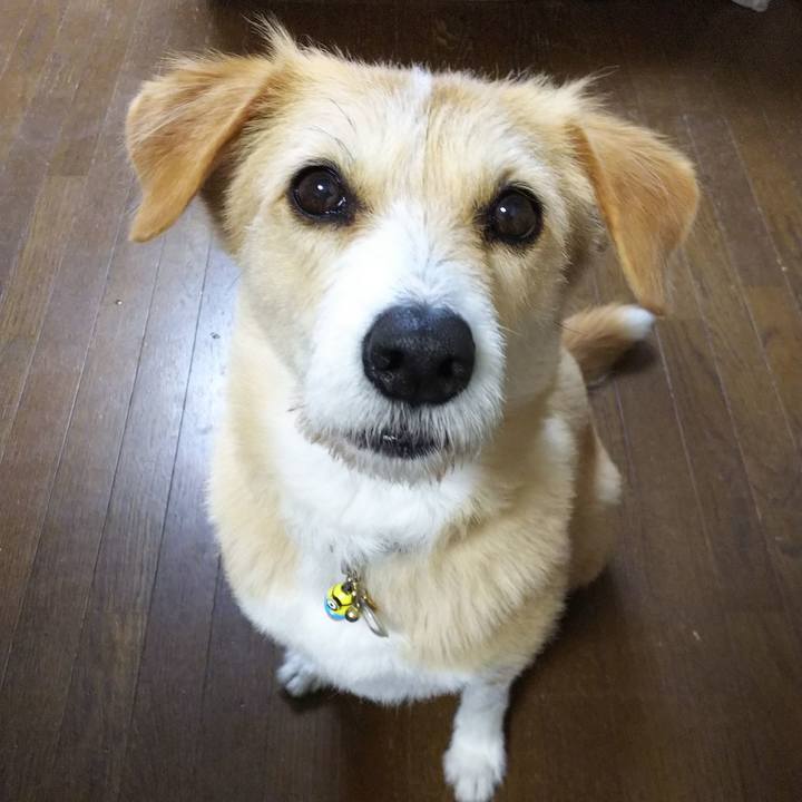 8fa3b939 f8ec 4862 bdf9 4afeb53ea8af 1522665669576