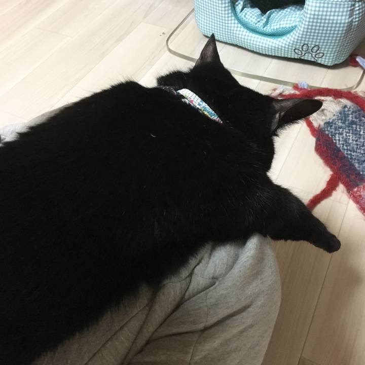 8fa3bbd6 3287 49cc 94c8 bc9b8312d5ee 1519480267695