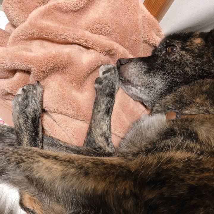 8fa3e052 c52d 4427 8843 25504f9b0568 1572704273028