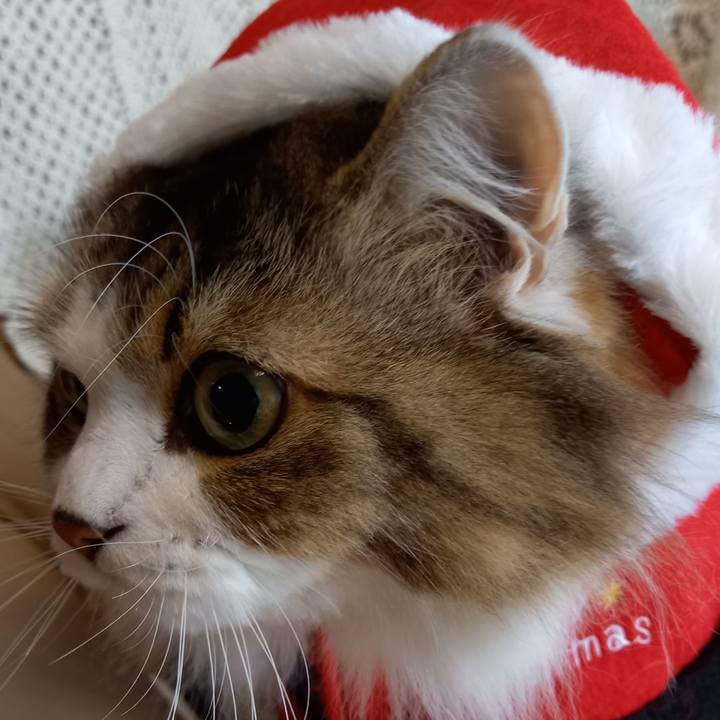 8fa3e30f 18f2 4d64 817b d5c873ab123d 1606523803150