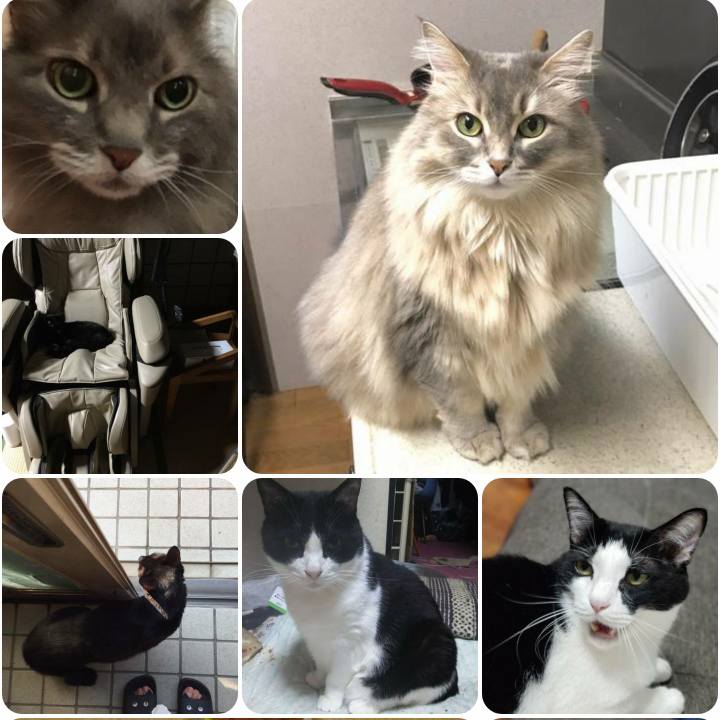 8fa3f278 7f53 430c 9d84 1cc8ed8734a0 1560259927196