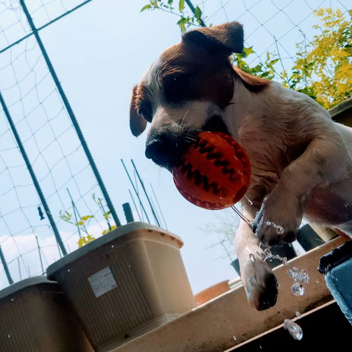 8fa40782 ea79 4fac bec1 e3188623a096 1591334963566