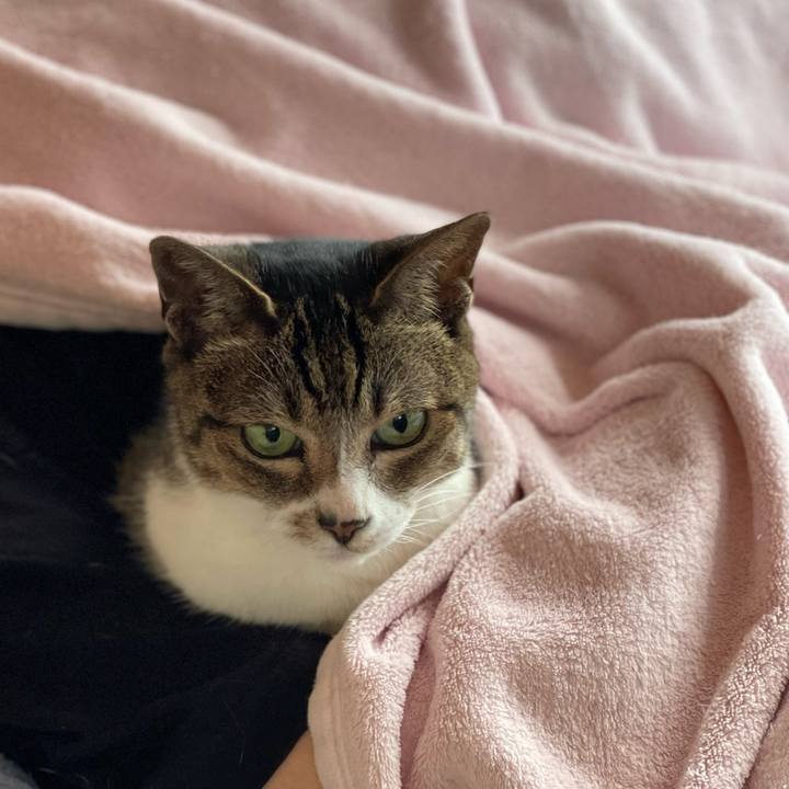 8fa4318a 5299 4617 a2ba 3fab2ed85d23 1654131779122