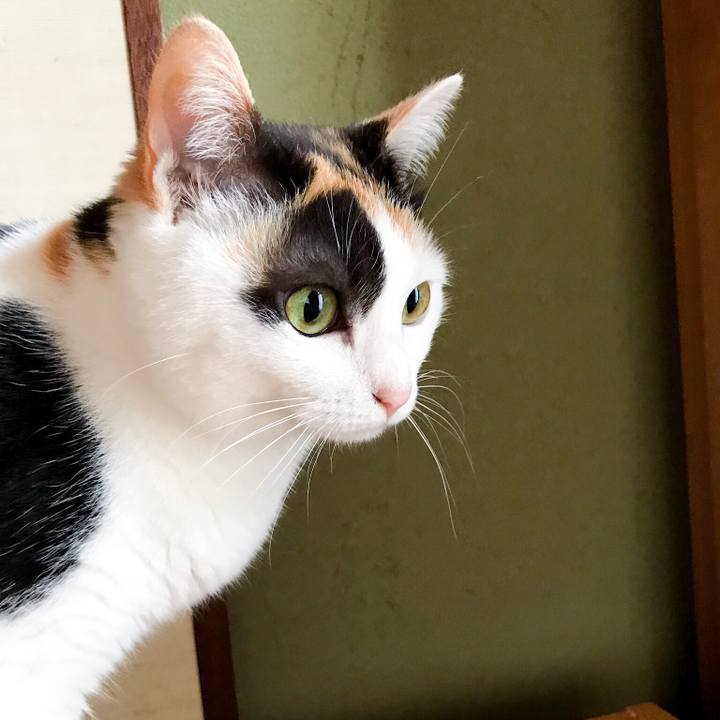 8fa49709 a5b7 4d24 b5ee 0e2caa83a299 1525395725115