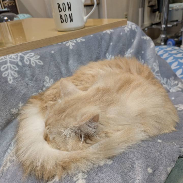 8fa4b48f 5b68 4a29 a1cd 2ab36a4599f7 1763623415621