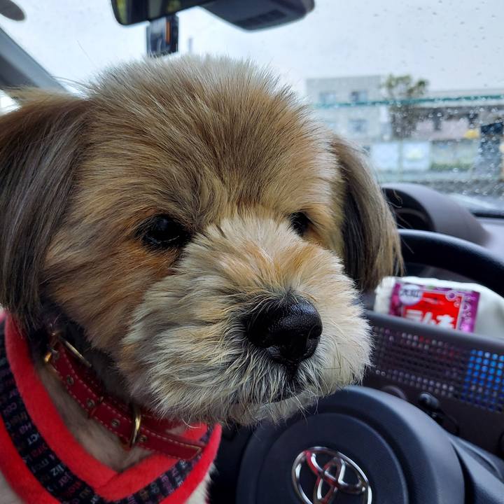 8fa4d7d1 7e62 4a7c ae17 3b96d4077fea 1649649610045