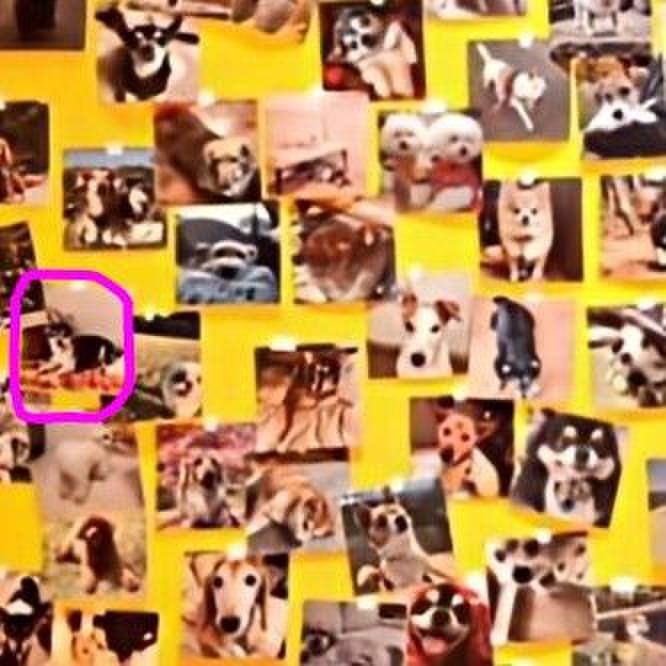 8fa5a7b3 dab9 460a 8268 d1df1ec1a92d 1774676532791