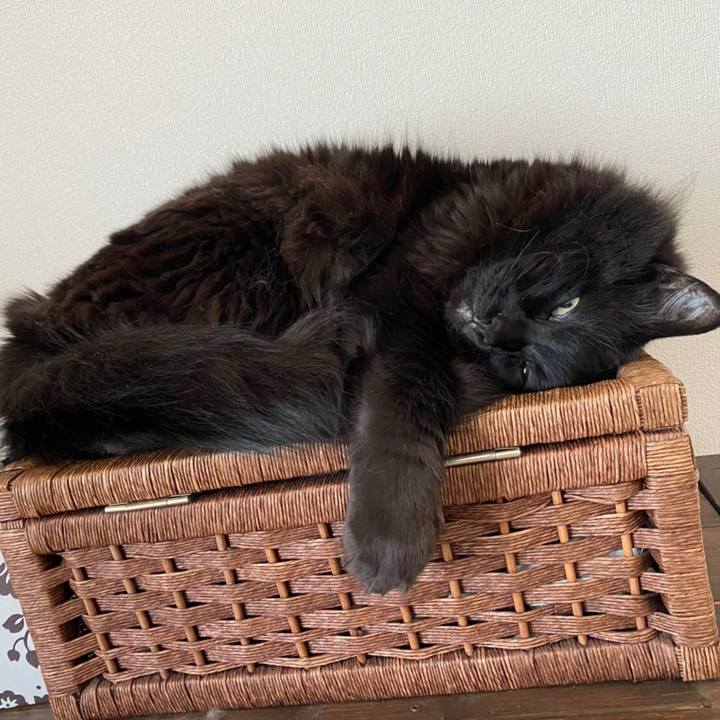 8fa5de72 6e5f 4976 887c 69f1fdefbe55 1585967452736