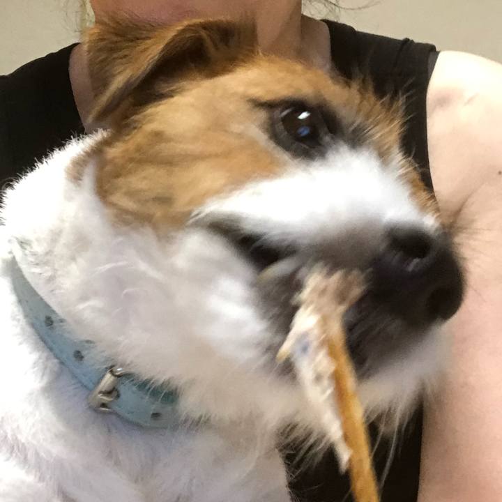 8fa60063 681c 4ee7 9329 99fa16bec5c5 1562493111046