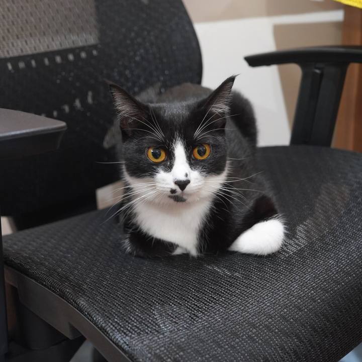 8fa61688 4add 4d66 8bd7 1f7788e90706 1600317128044