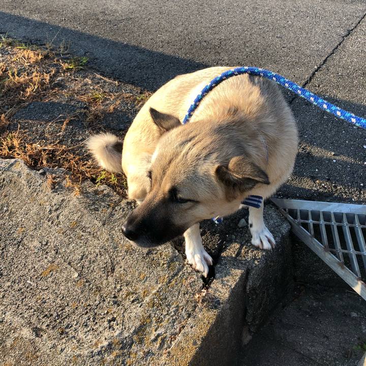 8fa624c5 451d 4003 9af0 a29b7e4d9301 1539779498284