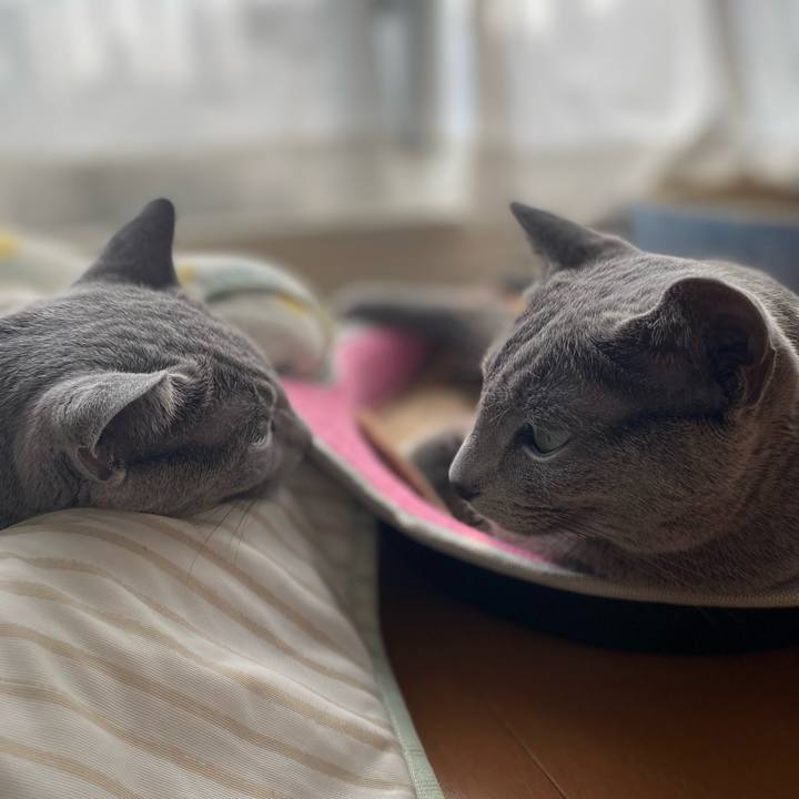 8fa6319c 1386 4d57 964f 662b42189cf4 1698380765302