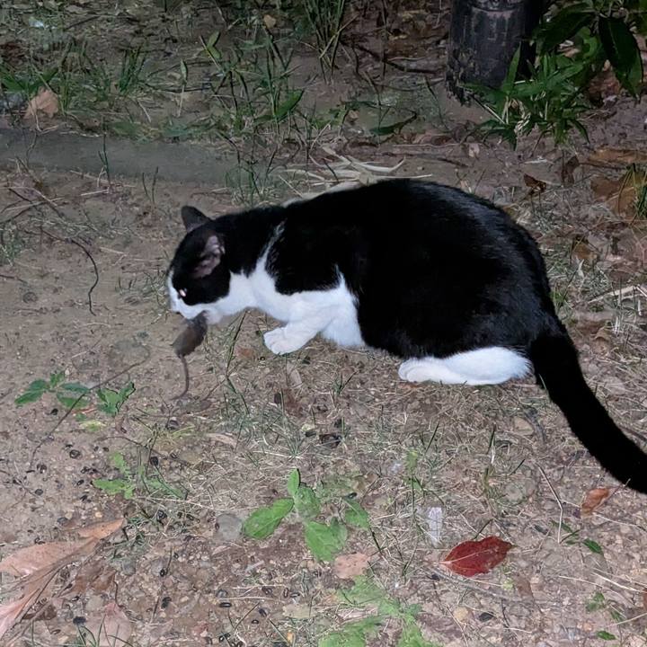 8fa64065 a687 47a9 acc3 c7acec5709a9 1750332153572