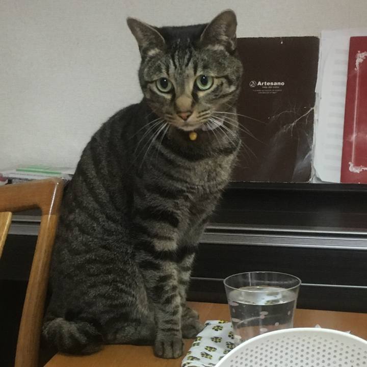 8fa650b7 c0b0 4aa5 9df0 84e05dc70c2e 1556600494555