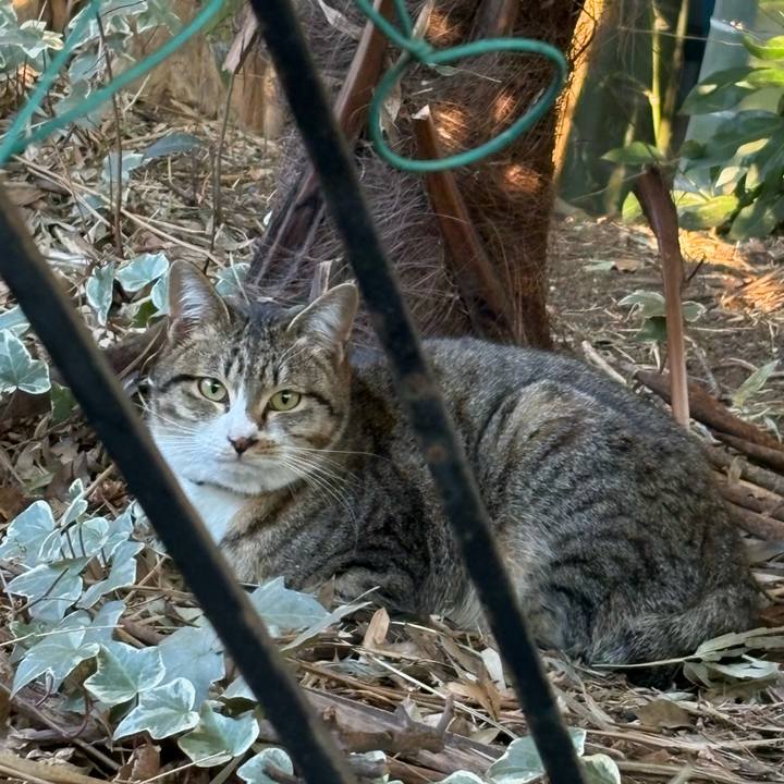 8fa6631e 999b 40d6 a0bc 4a32fdf9b238 1770969629521