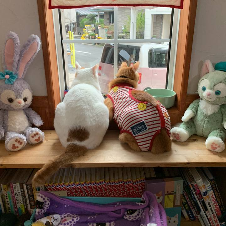 8fa66b4b 2740 4ab8 b48c 9aaa5217ba16 1585173649775