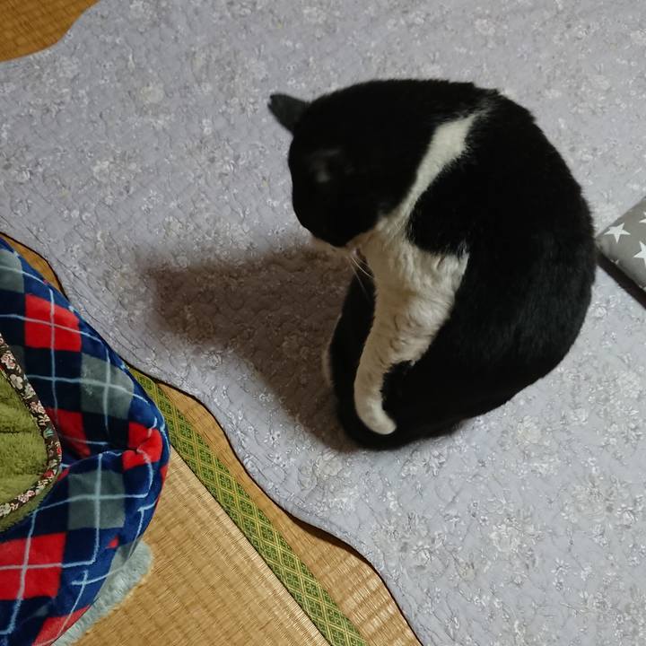 8fa6734f f40c 4885 bfe6 a6adbb669c40 1580443114301