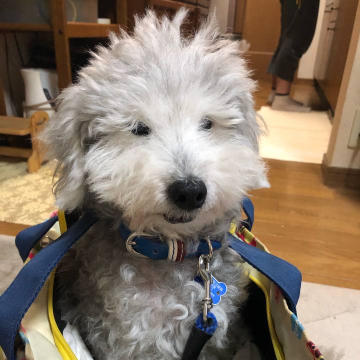 8fa71cb3 a088 412a 83d6 eb9c1d5b9ee2 1657625390260